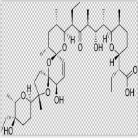 Salinomycin Salinomycin
