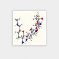 Saltamicillin for Injection Saltamicillin for Injection