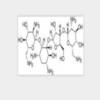 Saramycetin Saramycetin