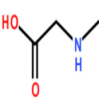 Sarcosine Sarcosine