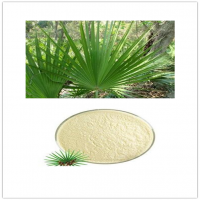 Saw palmetto extract