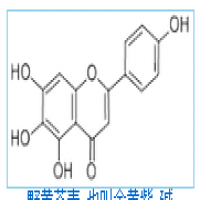Scutellarein Scutellarein