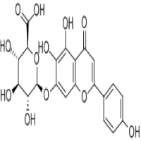 Scutellarin Scutellarin