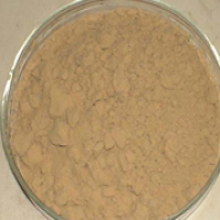 Semen Armeniacae Amarum P.E. Semen Armeniacae Amarum P.E.