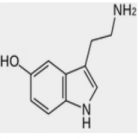 Serotonin Serotonin