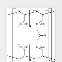 Sevelamer Hydrochloride Sevelamer Hydrochloride