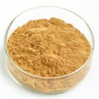 Silymarin Silymarin