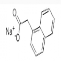 Sodium naphthalene-1-acetate Sodium naphthalene-1-acetate