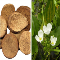 Stephania Tetrandra extract Stephania Tetrandra extract