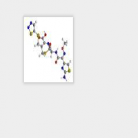 Streptomycin Hydrochloride Streptomycin Hydrochloride