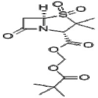 Sulbactam pivoxyl Sulbactam pivoxyl