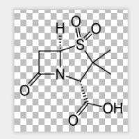 Sulbactam Sulbactam
