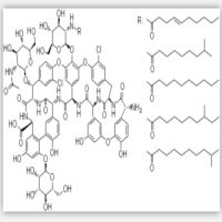 Teicoplanin A2 Teicoplanin A2