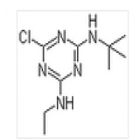 Terbuthylazine Terbuthylazine