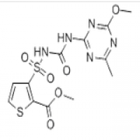 Thifensulfuron methyl Thifensulfuron methyl