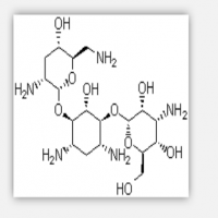 Tobramycin Tobramycin