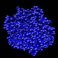 Trypsin Trypsin
