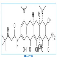 Tygacil Tygacil