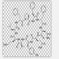 Tyrocidin B Tyrocidin B