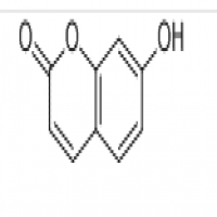 Umbelliferone Umbelliferone