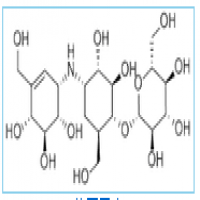 Validamycin Validamycin