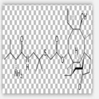 Valnemulin Valnemulin