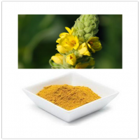 Verbascum thapsus extract