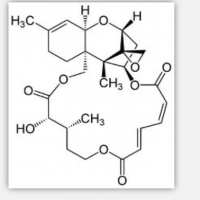 Verrucarin A Verrucarin A