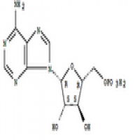 Vidarabine Monophosphate Vidarabine Monophosphate