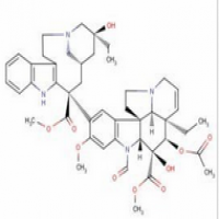 Vincristine Vincristine
