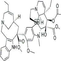 Vinorelbine Vinorelbine