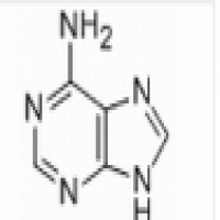 Vitamin B4 Vitamin B4