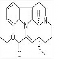 Voacanga Africana Extract Voacanga Africana Extract