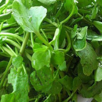 Watercress extract