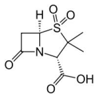 What is Sulbactam?