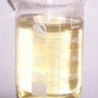 Xanthine oxydase Xanthine oxydase