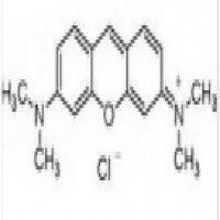 Xanthylium Xanthylium