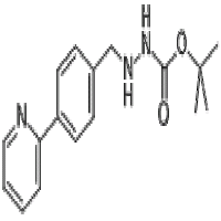 Tert-Butyl 2-(4-(pyridin-2-yl)benzyl)hydrazine carboxylate Tert-Butyl 2-(4-(pyridin-2-yl)benzyl)hydrazine carboxylate