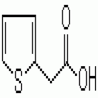2-Thiophene Acetic Acid 2-Thiophene Acetic Acid