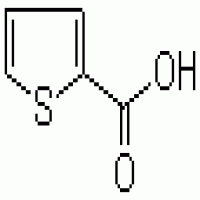 2-Thiophene Carboxylic Acid 2-Thiophene Carboxylic Acid