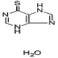 6-Mercaptopurine monohydrate