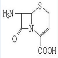 7-Amino-3-nor-3-cephem-4-carboxylic acid 7-Amino-3-nor-3-cephem-4-carboxylic acid