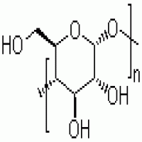 Pregelatinized starch Pregelatinized starch