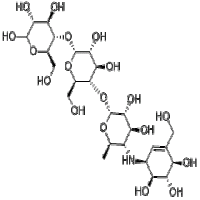 Acarbose Acarbose