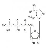 Adenosine Triphosphate Disodium