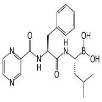 Bortezomib Bortezomib