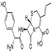 Cefprozil Cefprozil
