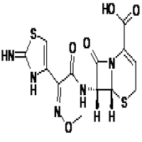 Ceftizoxime sodium sterile Ceftizoxime sodium sterile