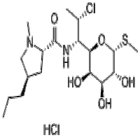 Clindamycin HCl Clindamycin HCl