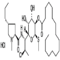 Clindamycin Palmitate HCl Clindamycin Palmitate HCl